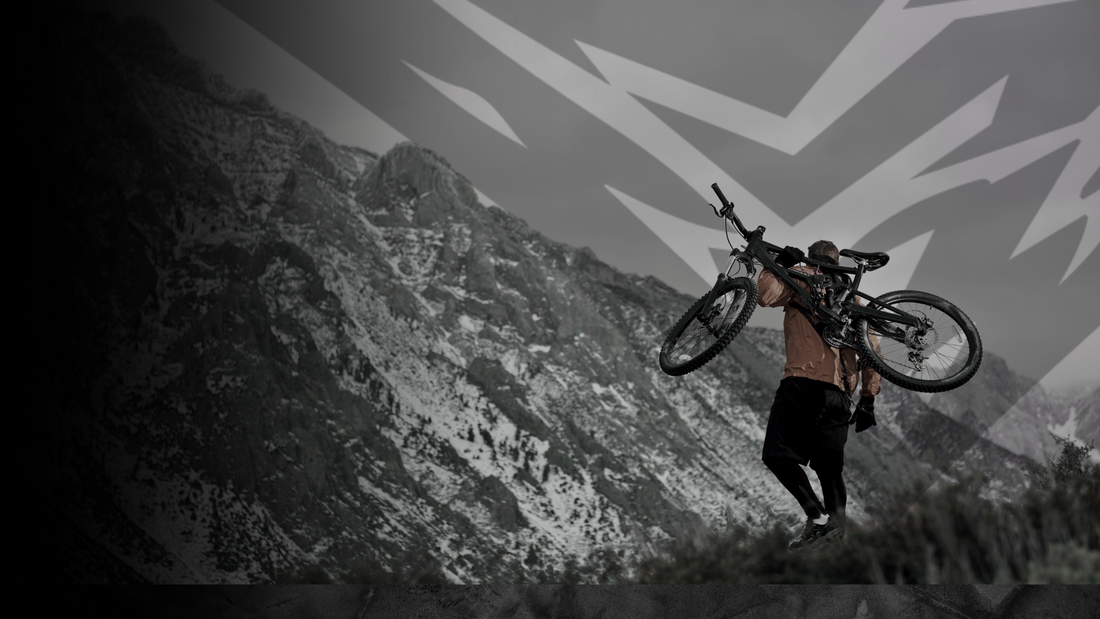 Natural Wellness Supplements – Why Shilajit Stands Out