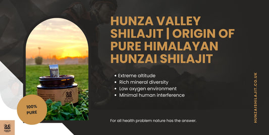 Hunza Valley Shilajit | Origin of Pure Himalayan Hunzai Shilajit