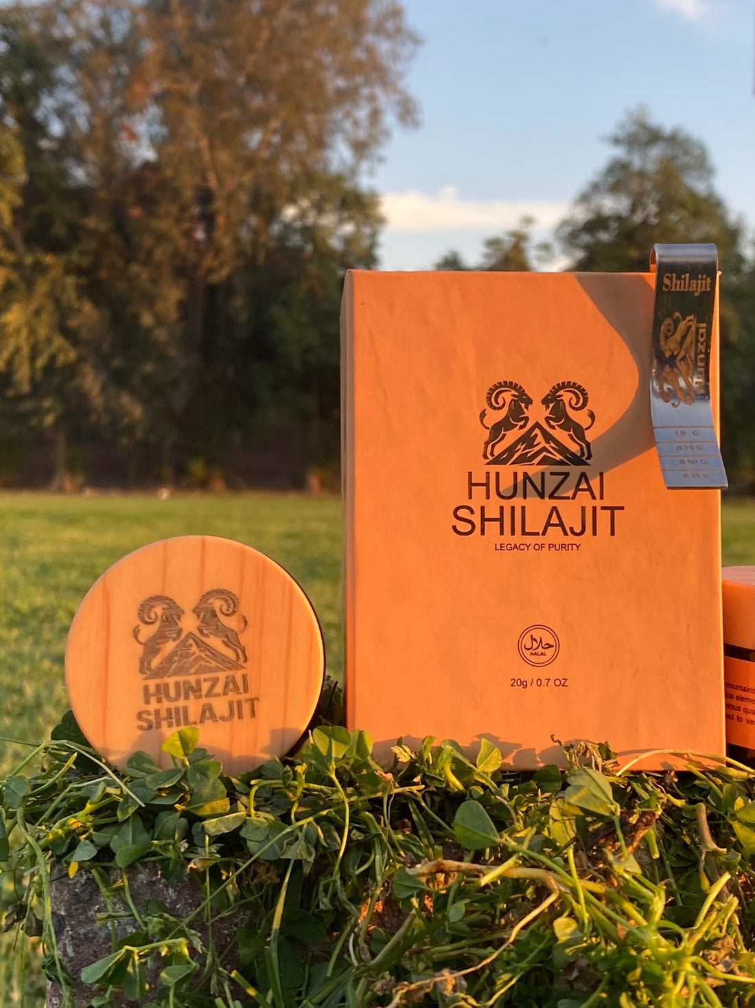Pure Shilajit vs Fake Shilajit | How to Identify Authentic Hunzai Shilajit