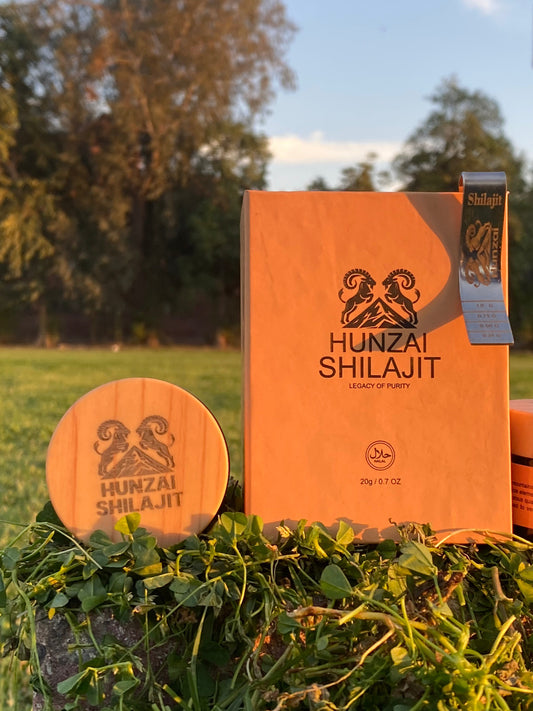 Pure Shilajit vs Fake Shilajit | How to Identify Authentic Hunzai Shilajit