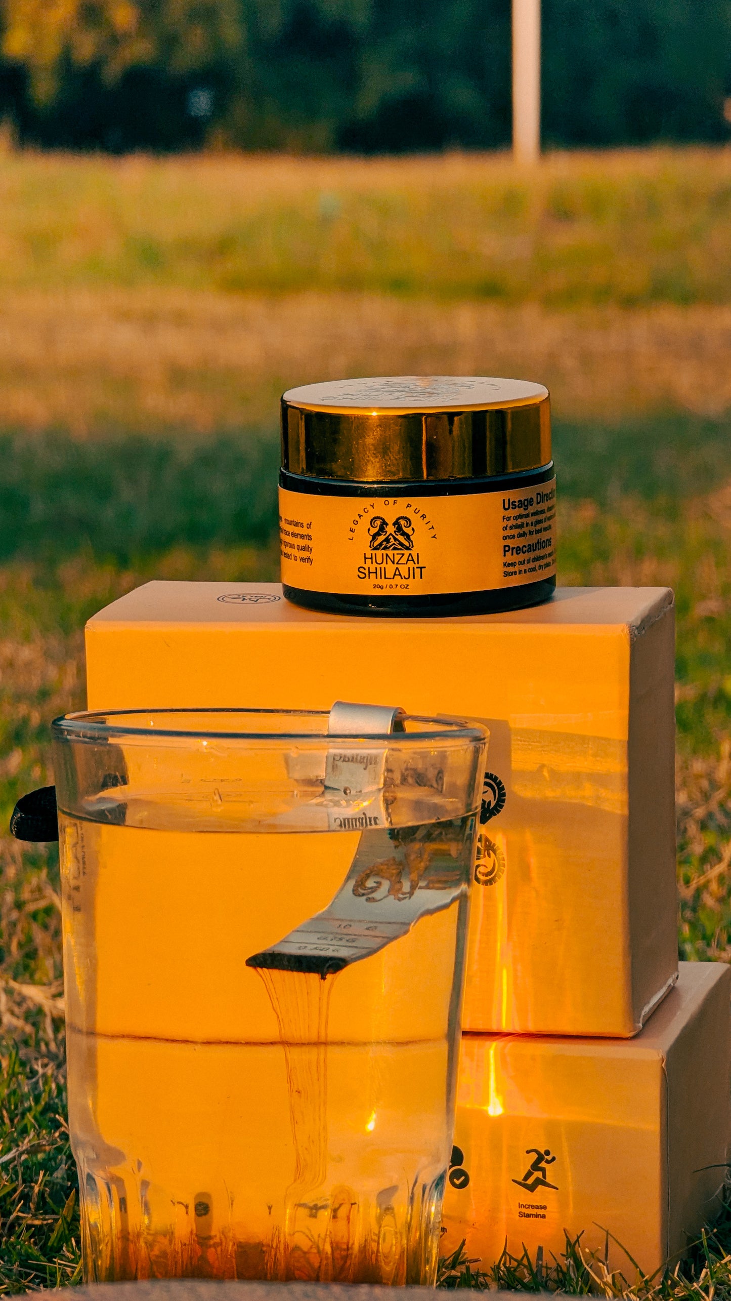 Buy Online Himalayan Shilajit Online | 20g Pure Hunzai Shilajit Resin