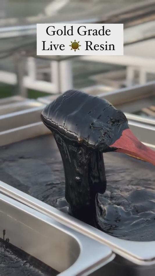 Pure Himalayan Shilajit Resin – 100% Natural & Authentic (1kg | 3kg | 5kg Bulk Packs)