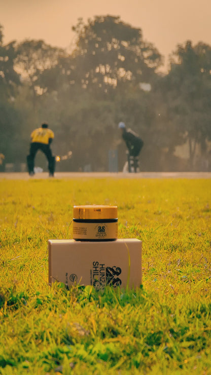 Buy Online Himalayan Shilajit Online | 20g Pure Hunzai Shilajit Resin