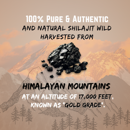 Buy Online Himalayan Shilajit | 40g Pure Hunzai Shilajit Resin